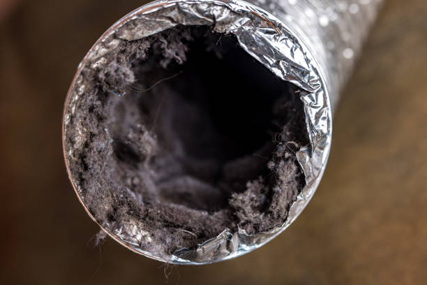 Air Duct Mold Removal in Gallitzin, PA