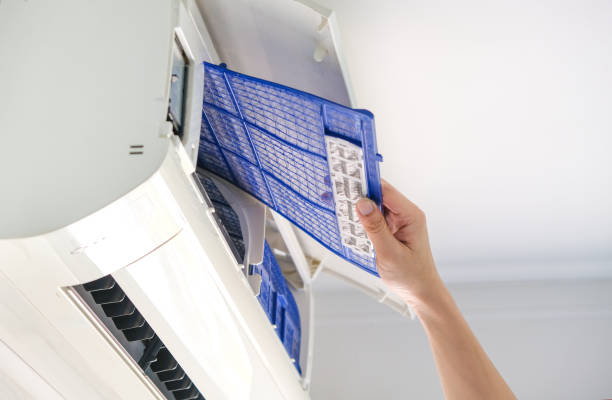 Air Duct Mold Removal in Gallitzin, PA